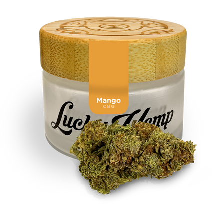 Premium Kit d'essai Blüten Lucky Hemp