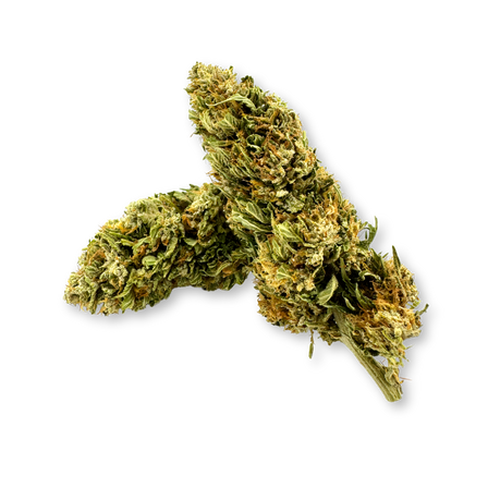 CBG Punch Ecopack Flowers Lucky Hemp