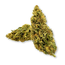 Lemon OG Eco Pack Flowers Lucky Hemp