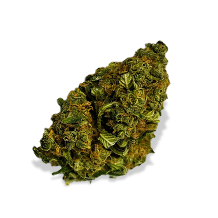 Berry Kush Ecopack