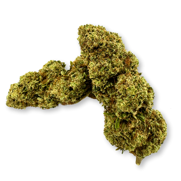 Orange Gelato Eco Pack