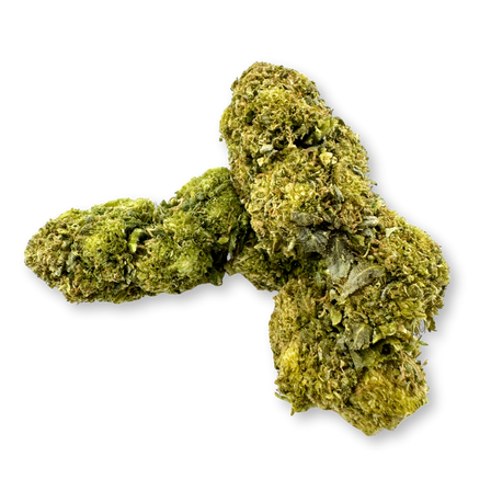 Orange séchée surgelée Eco Pack