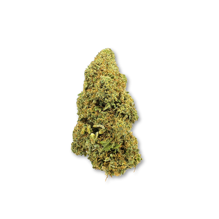 Bullet Kush Eco Pack