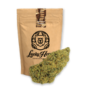 Girl Scout Cookies Ecopack