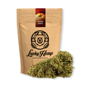 Orange Gelato Eco Pack