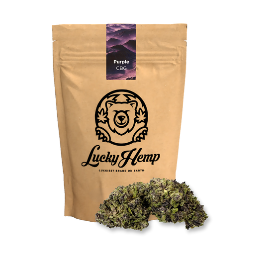 Pack écologique CBG violet
