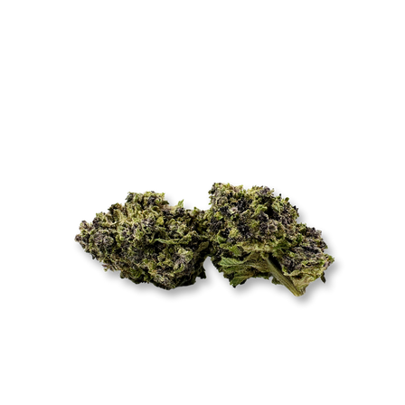 Pack écologique CBG violet