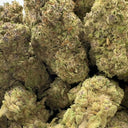 Pack écologique CBG violet