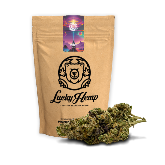 Alien OG Blossoms Lucky Hemp   