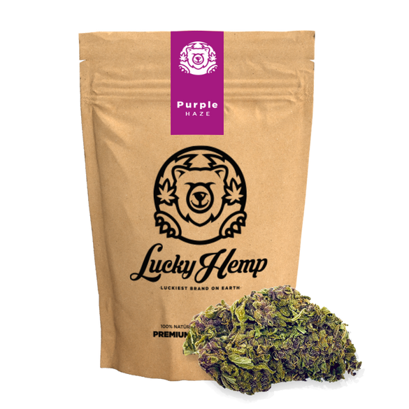 Purple Haze Paquet de recharge Blüten Lucky Hemp